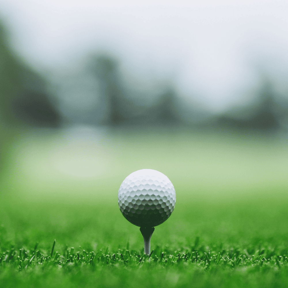 Featured image for “Warehouse Community Golf Outing”