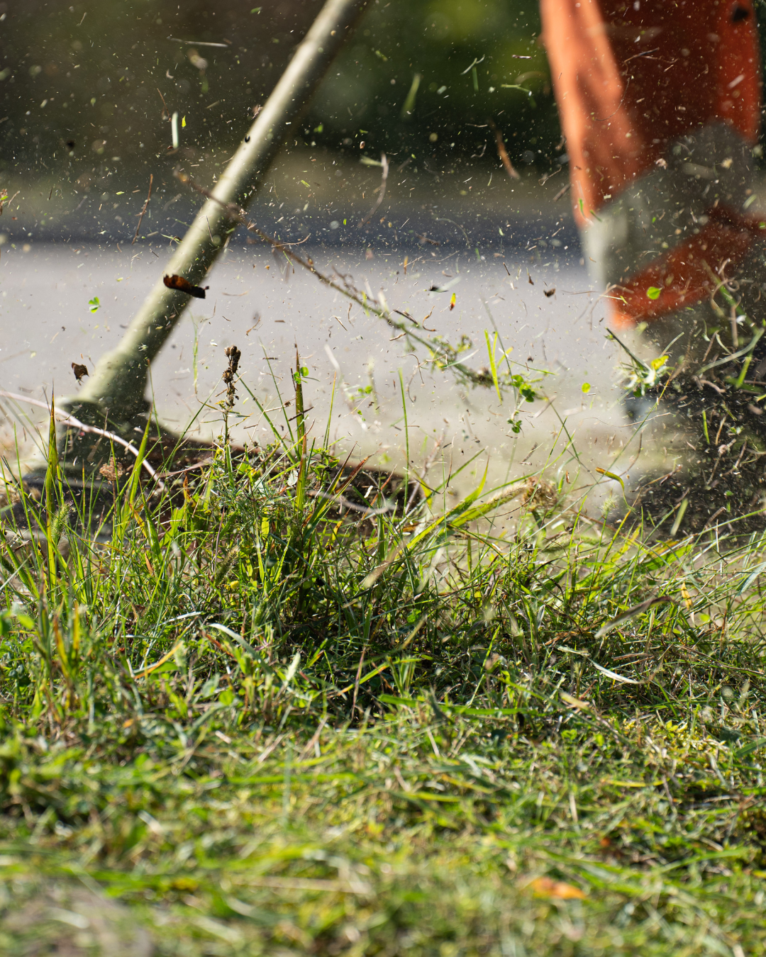 Featured image for “Gardening and Property Care”