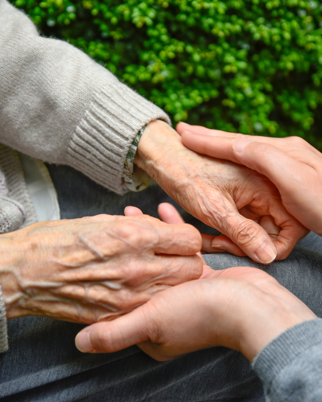 Featured image for “Dementia Care Workshop”