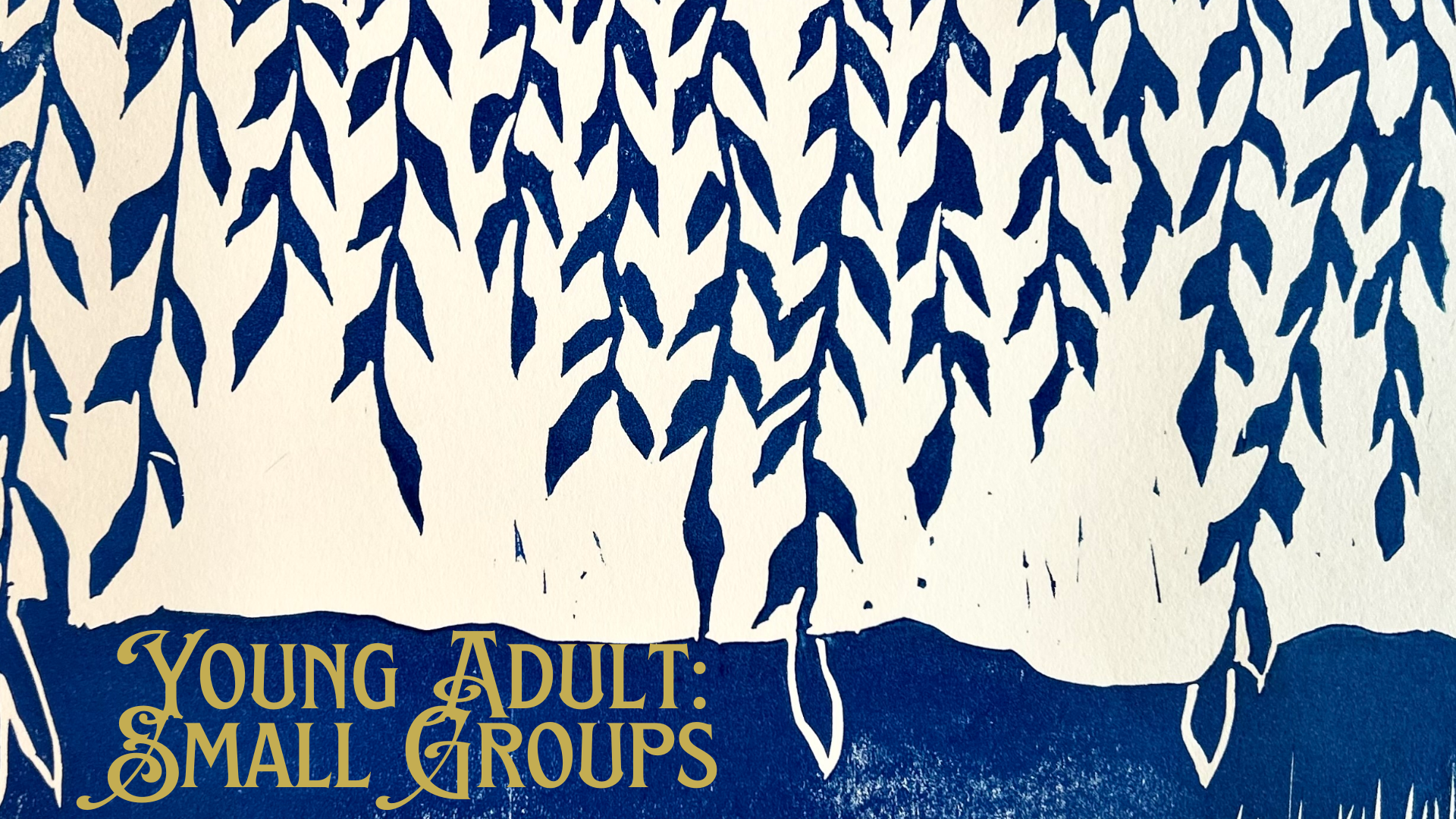 Featured image for “Young Adult Small Groups”