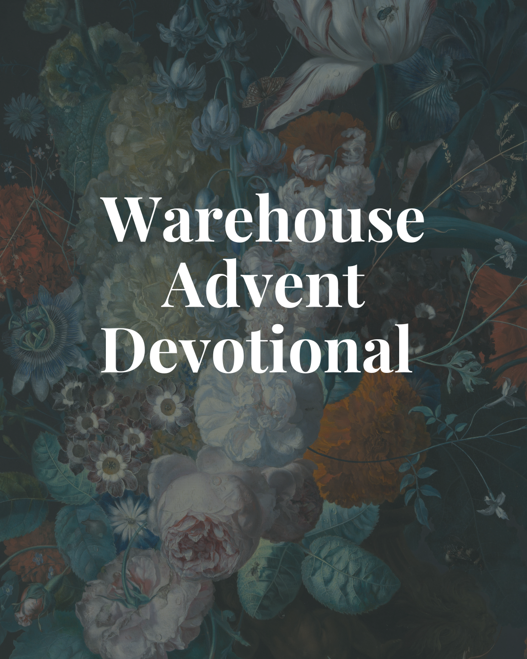 Featured image for “Warehouse Advent Devotional”