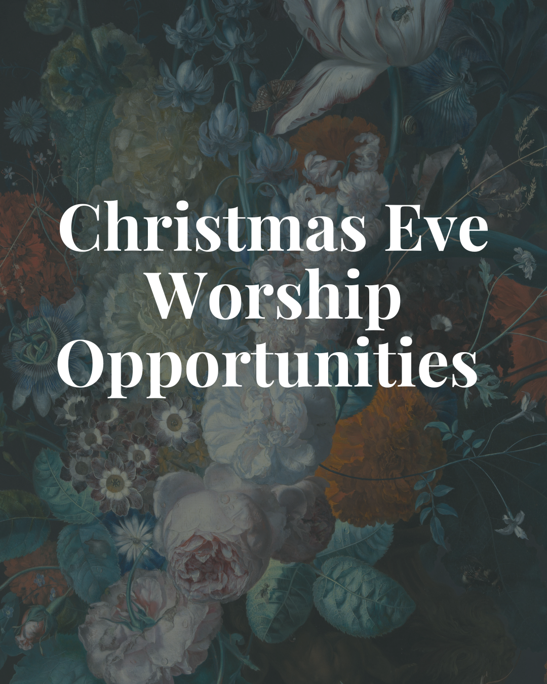 Featured image for “Christmas Eve Worship Opportunities”