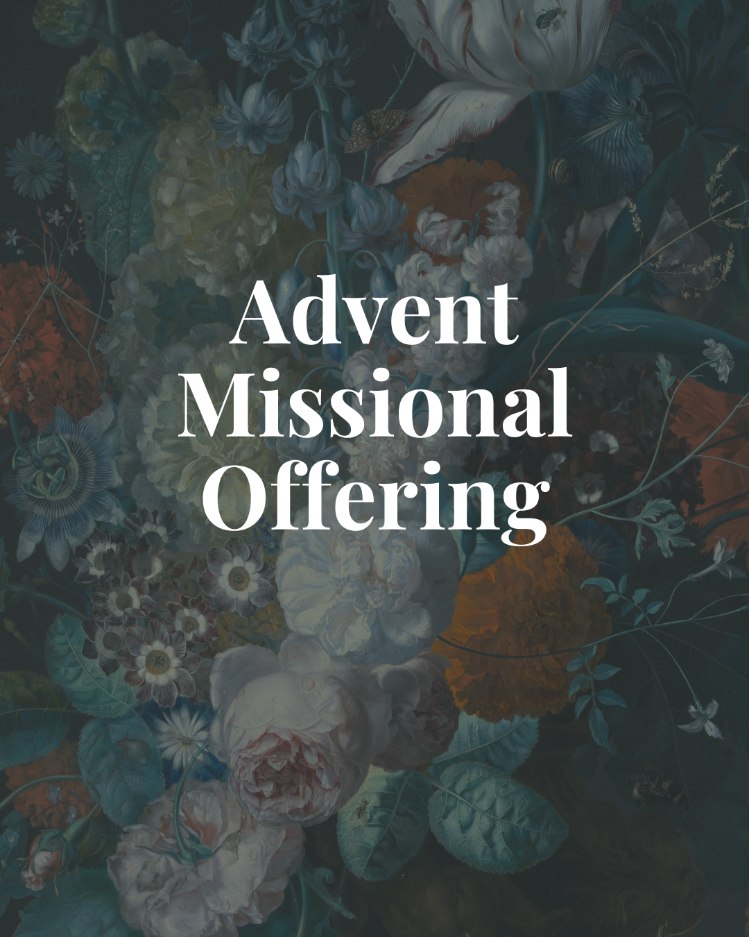 Featured image for “Advent Missional Offering”
