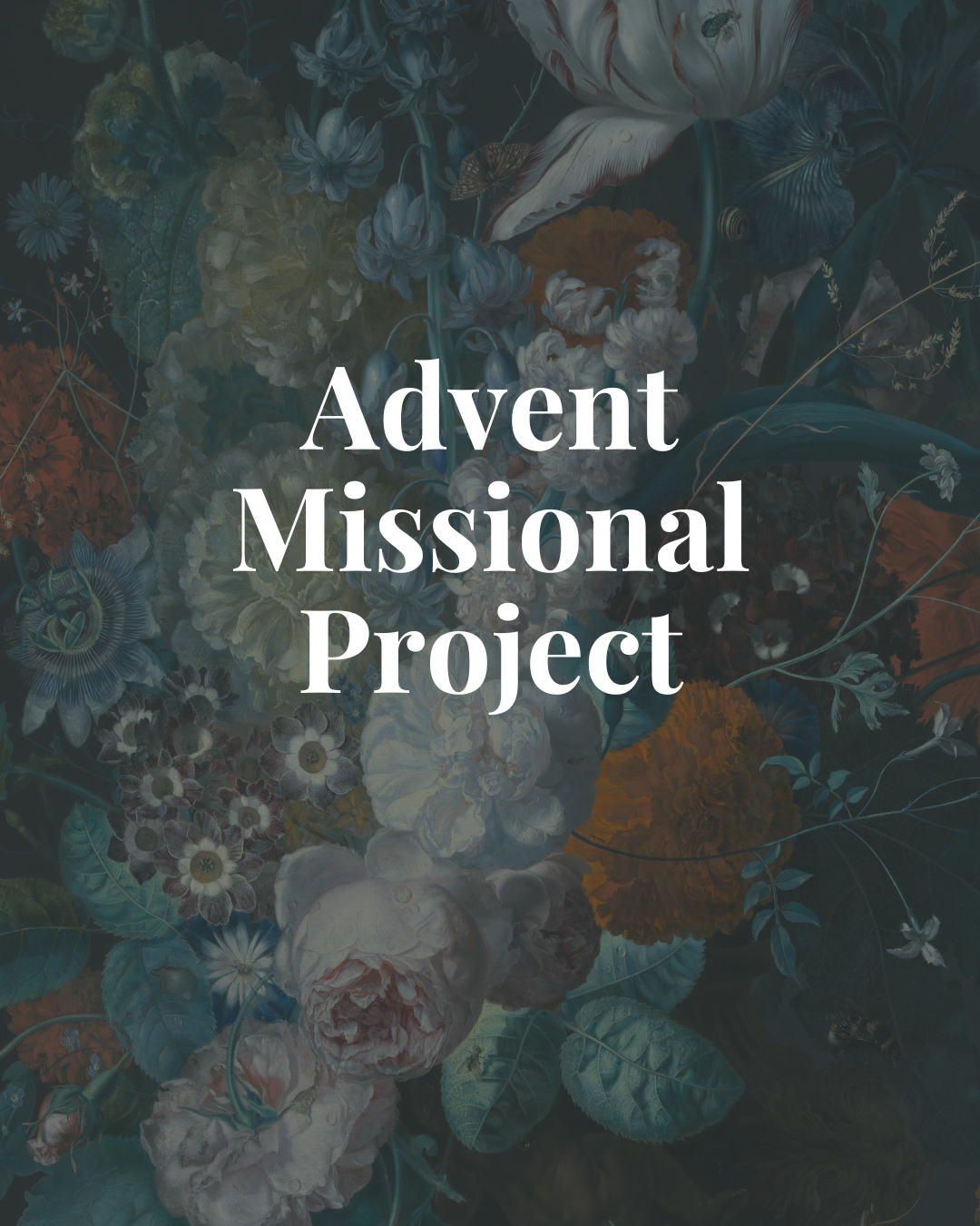 Featured image for “Advent Missional Project”