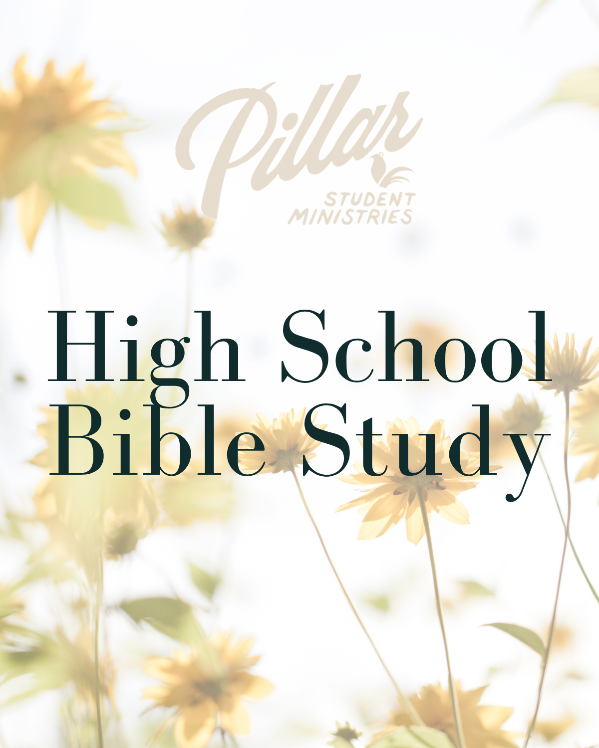 Featured image for “High School Bible Study”