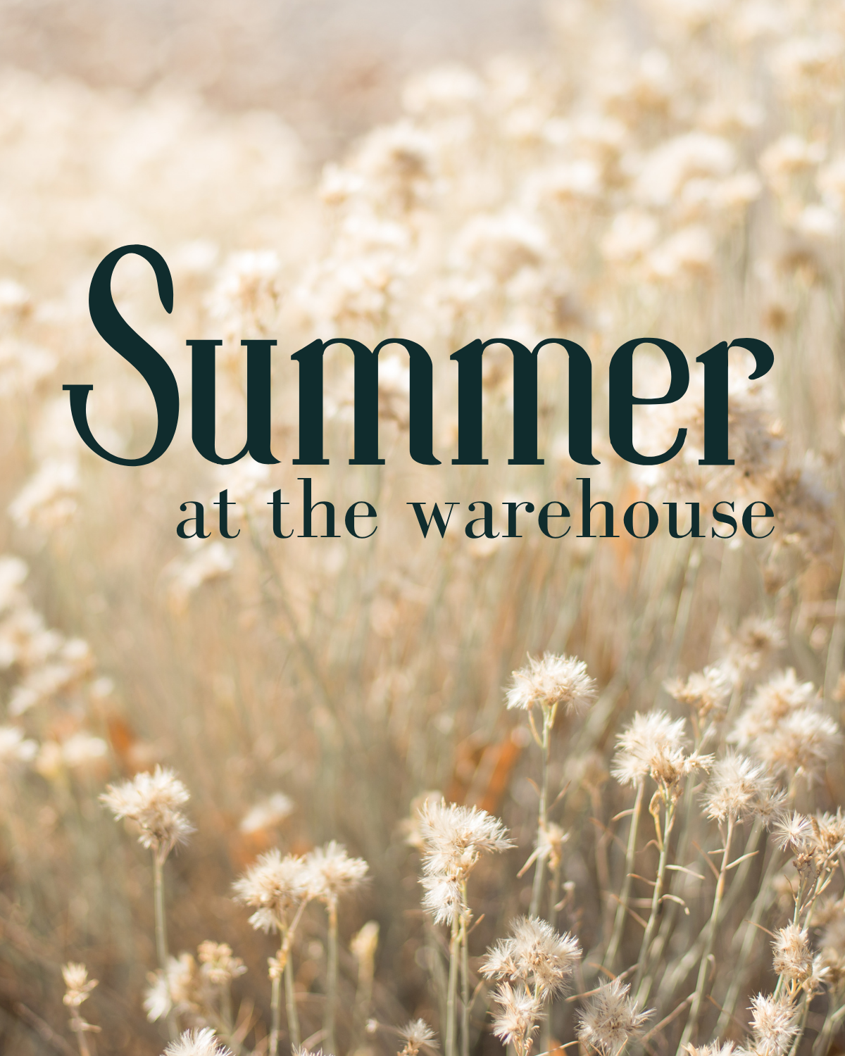 Featured image for “Summer at the Warehouse”